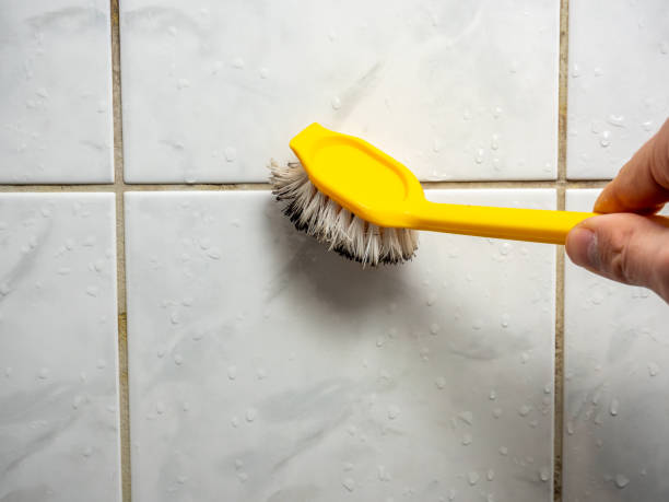 Best Mold Damage Repair  in Lancaster, PA