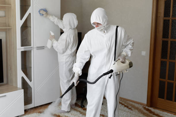 Professional Mold Removal in Lancaster, PA