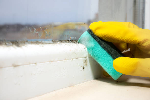Best Commercial Mold Removal  in Lancaster, PA